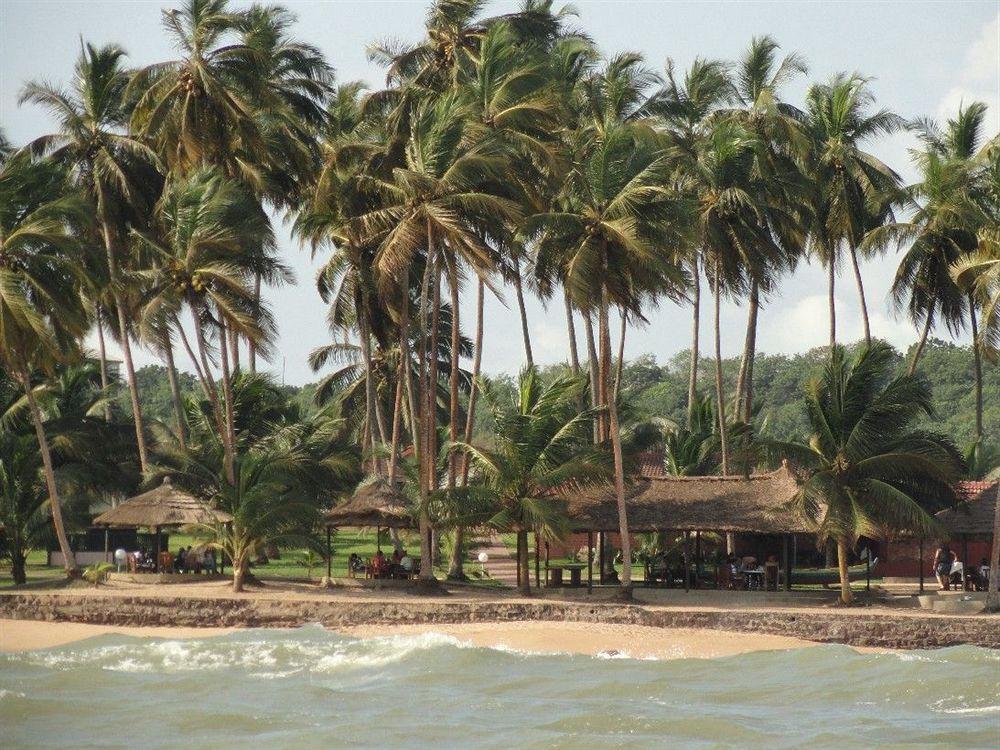 Coconut Grove Beach Resort Elmina Exteriör bild